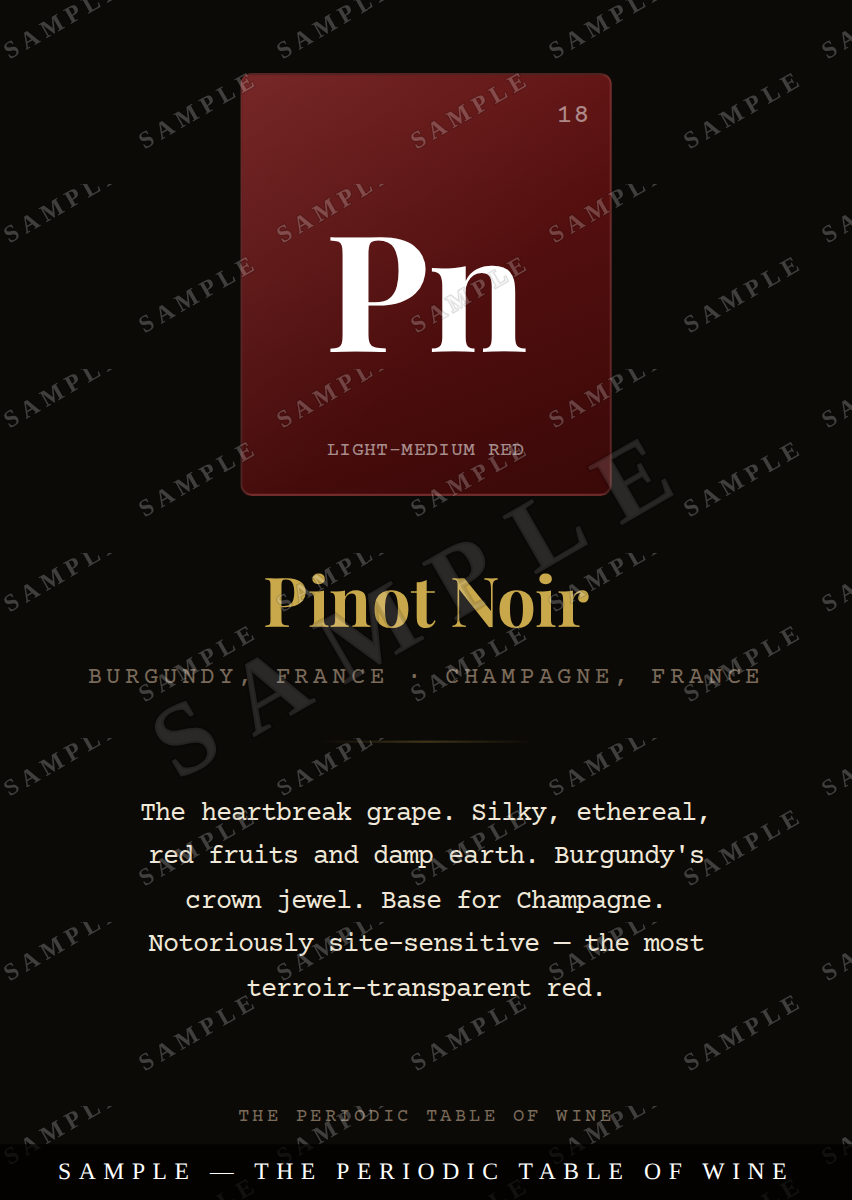 Pinot Noir, dark ink — watermarked sample