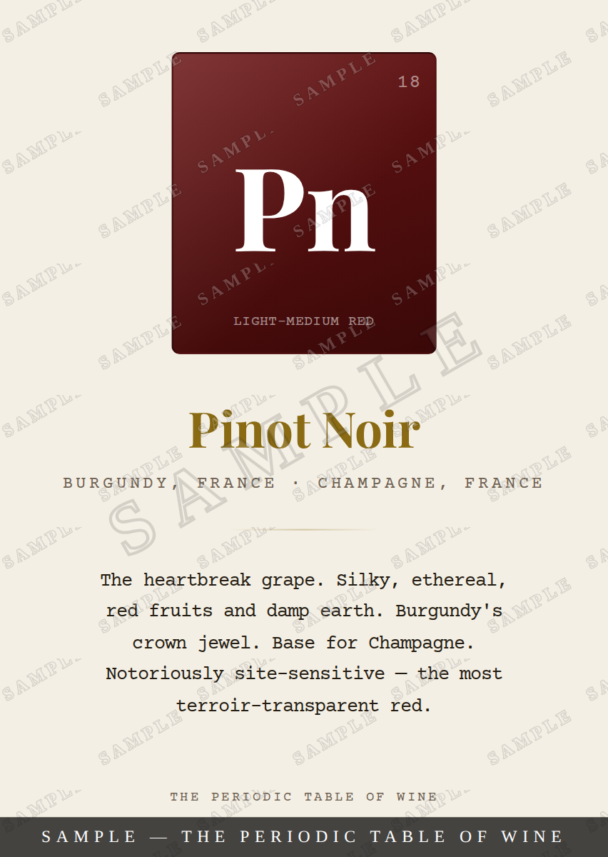 Pinot Noir, light ink — watermarked sample